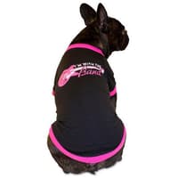 Dog Accessories - Apparel